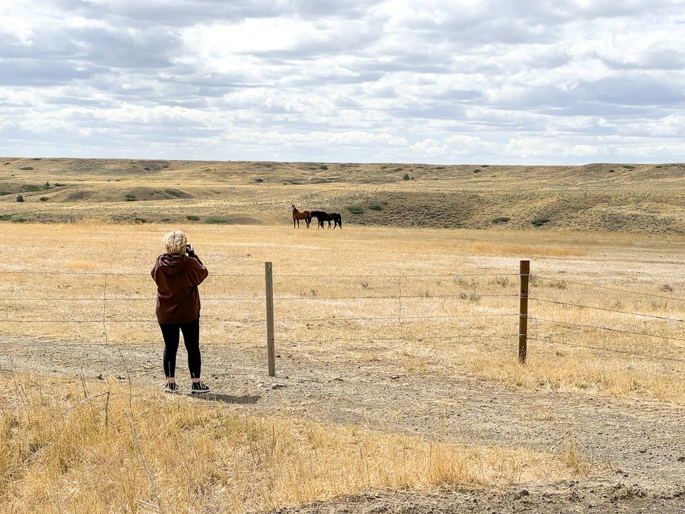 Teena shooting skittish horses in Montana.
